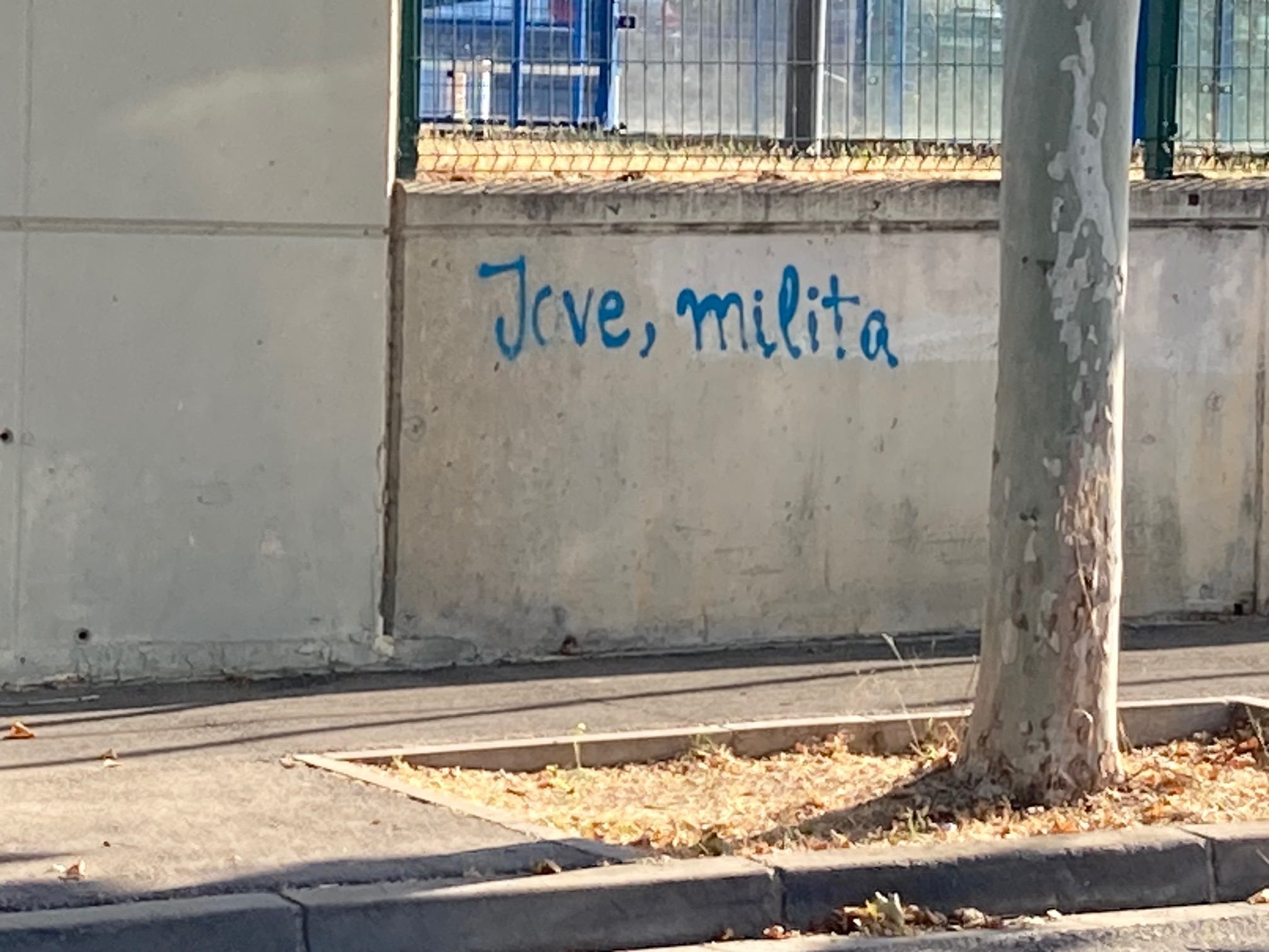 Pintada reivindicativa català